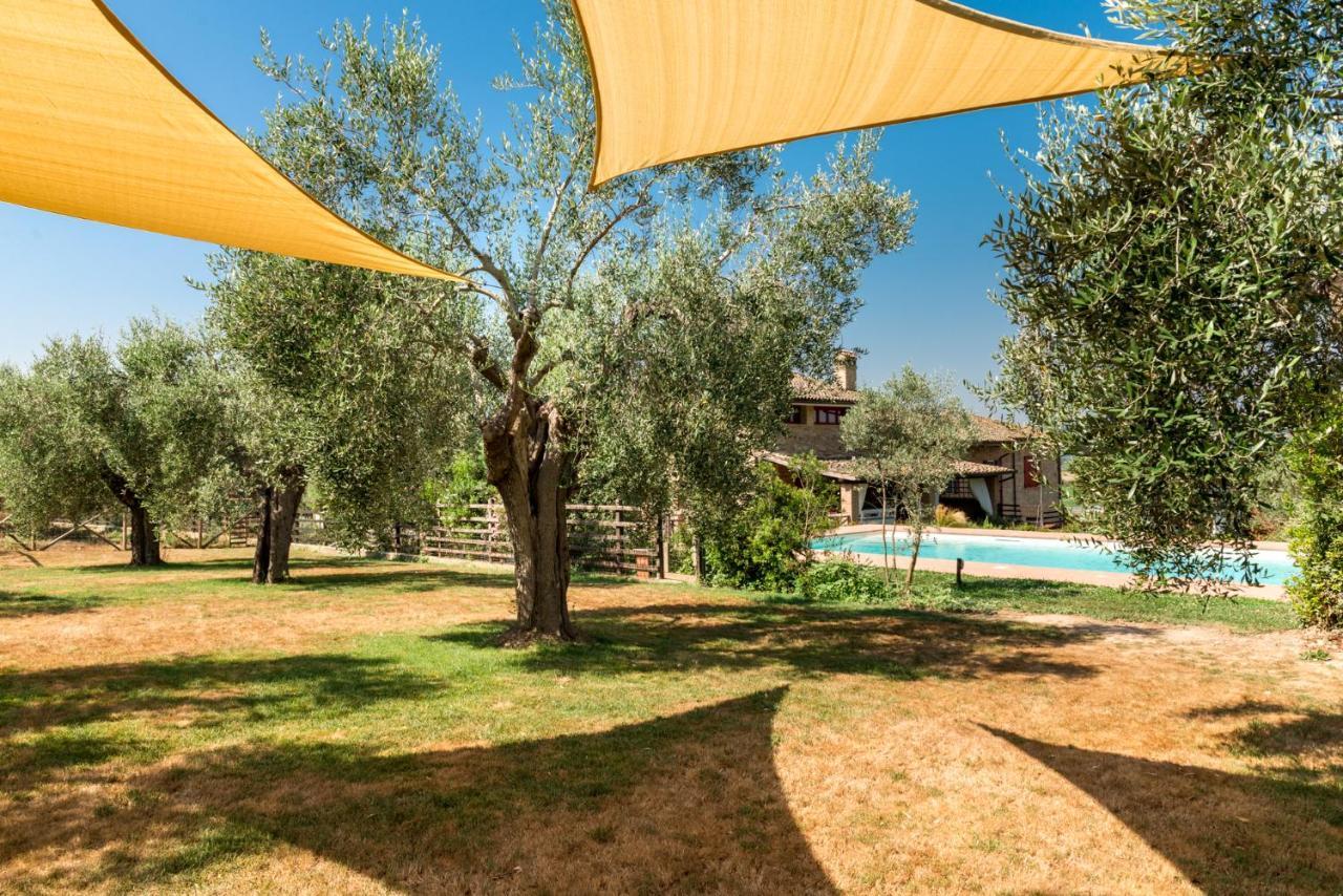 Il Barbagianni Montepescali