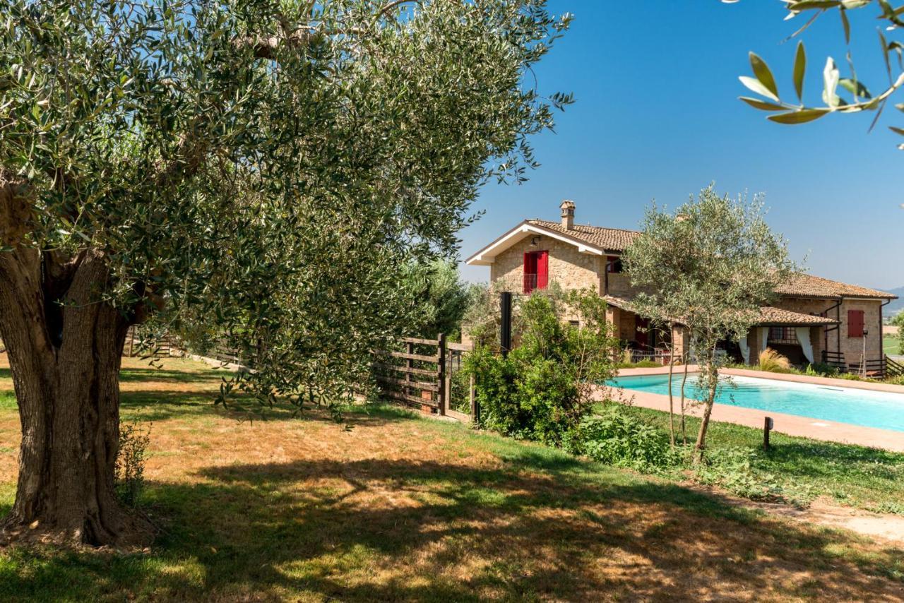 Il Barbagianni * Montepescali